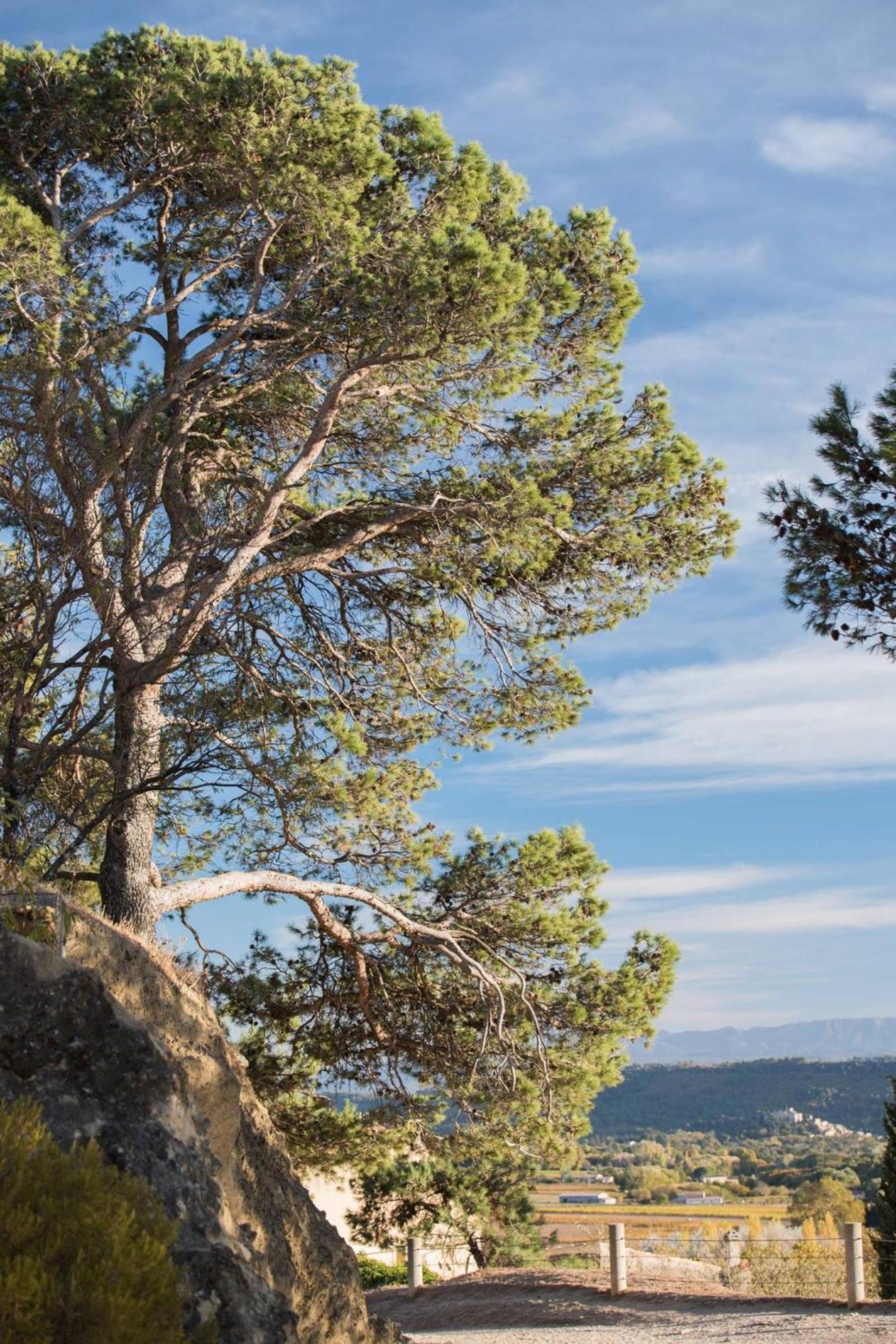 Charmante Maison De Village Au Coeur Du Luberon Cucuron Extérieur photo